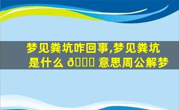 梦见粪坑咋回事,梦见粪坑是什么 🍀 意思周公解梦